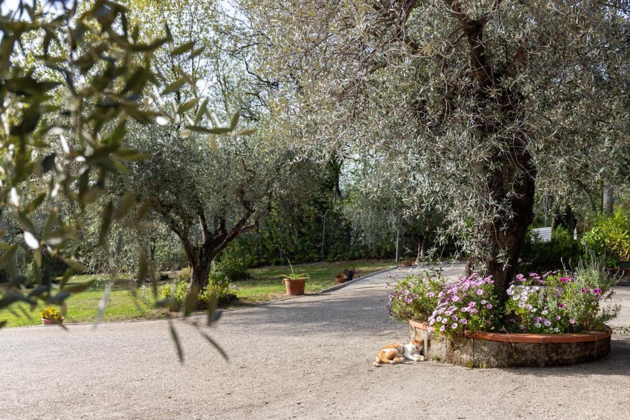 La Tana Delle Stelle B&B Di Charme E Relax Fara in Sabina Exterior photo