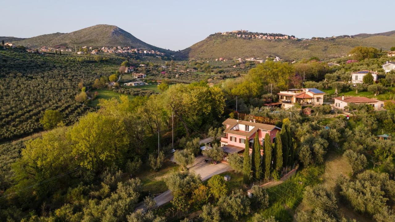 La Tana Delle Stelle B&B Di Charme E Relax Fara in Sabina Exterior photo